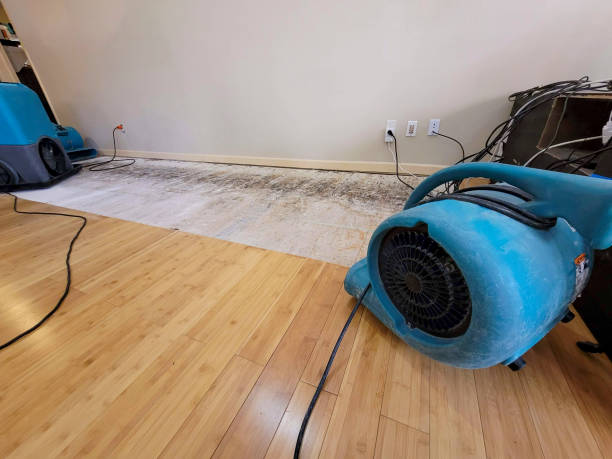 Professional Basement Flood Cleanup technician working in Gastonia, NC